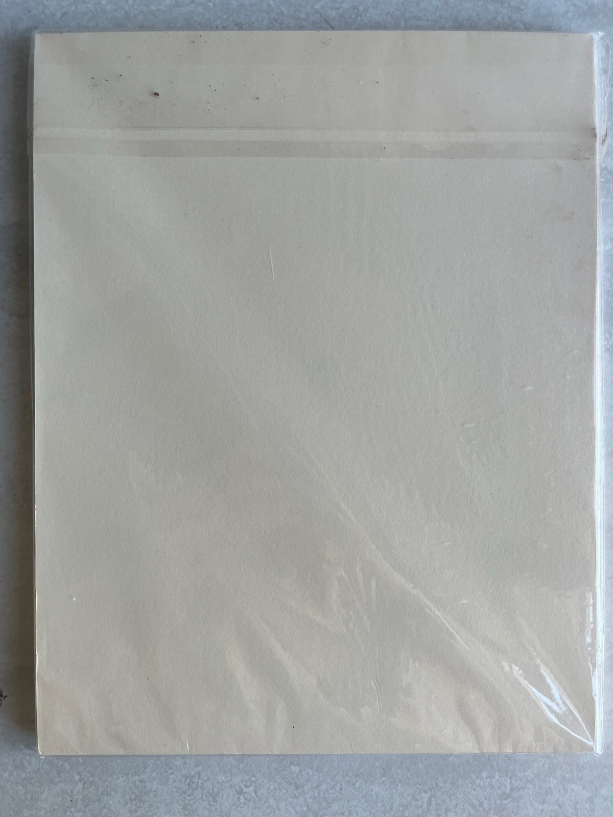 JAM PAPER Vellum Bristol 67lb Cardstock - 8.5 x 11 Coverstock - 147 gsm - Cream