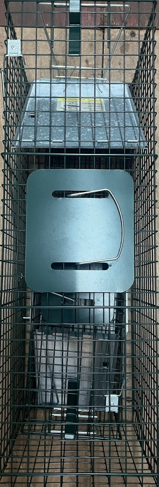 2 Door Live Animal Cage Trap For Animals Under  Easy To Setup Humane